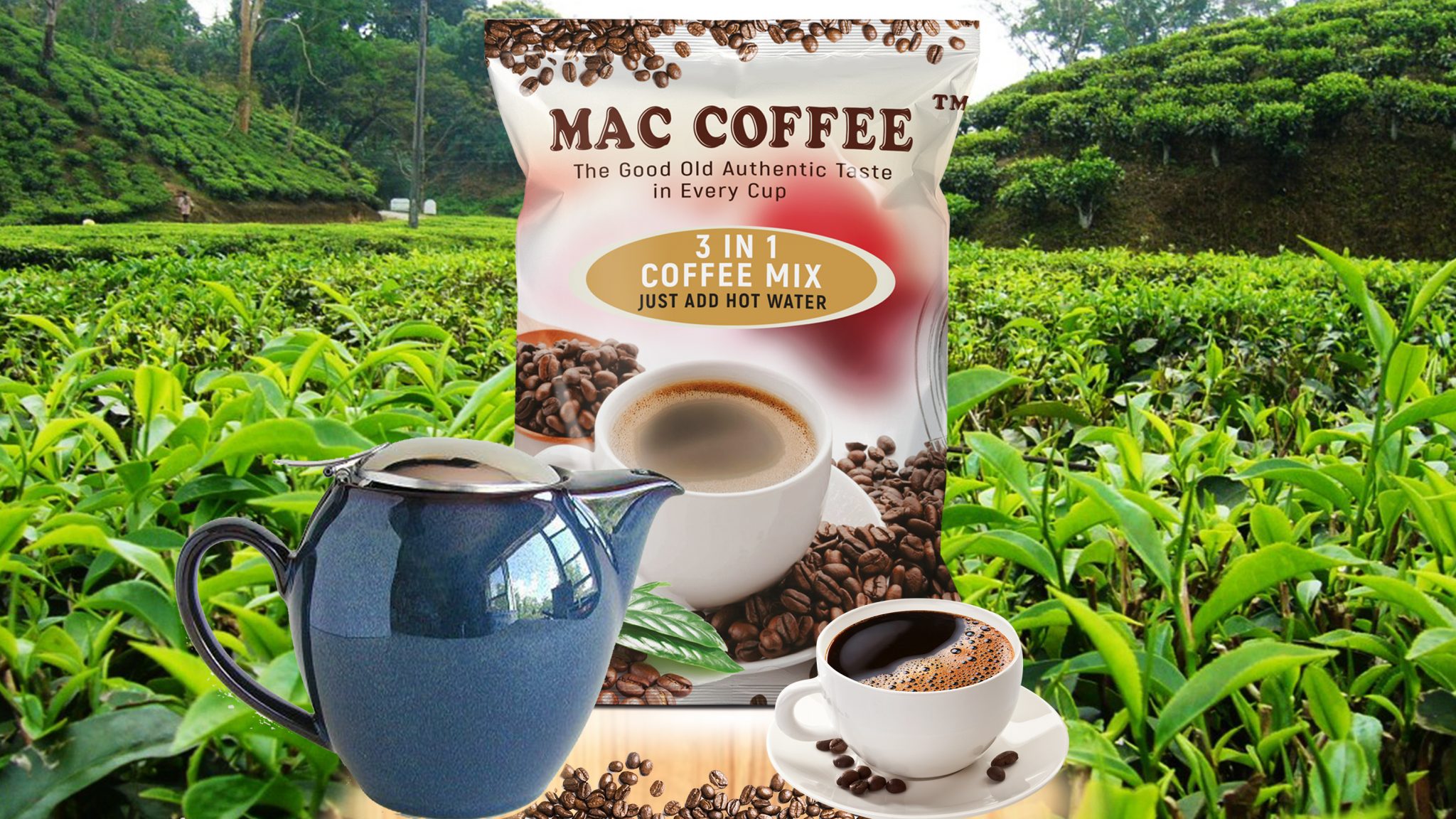 Free Coffee Packet Design Template psd GraphicsFamily