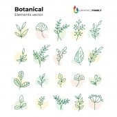 Free Set of Hand Drawn Botanical Elements Vector