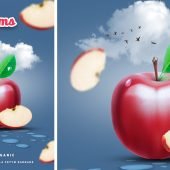 Apple Farm PSD Advertising Flyer Poster