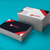 Coder Business Card Design