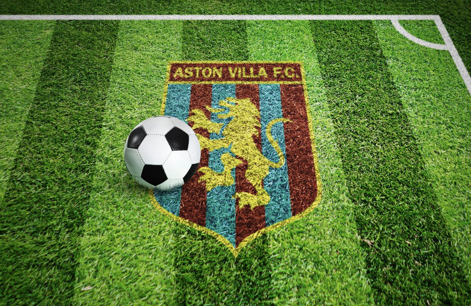 Free Football Field Grass Logo Mockup GraphicsFamily