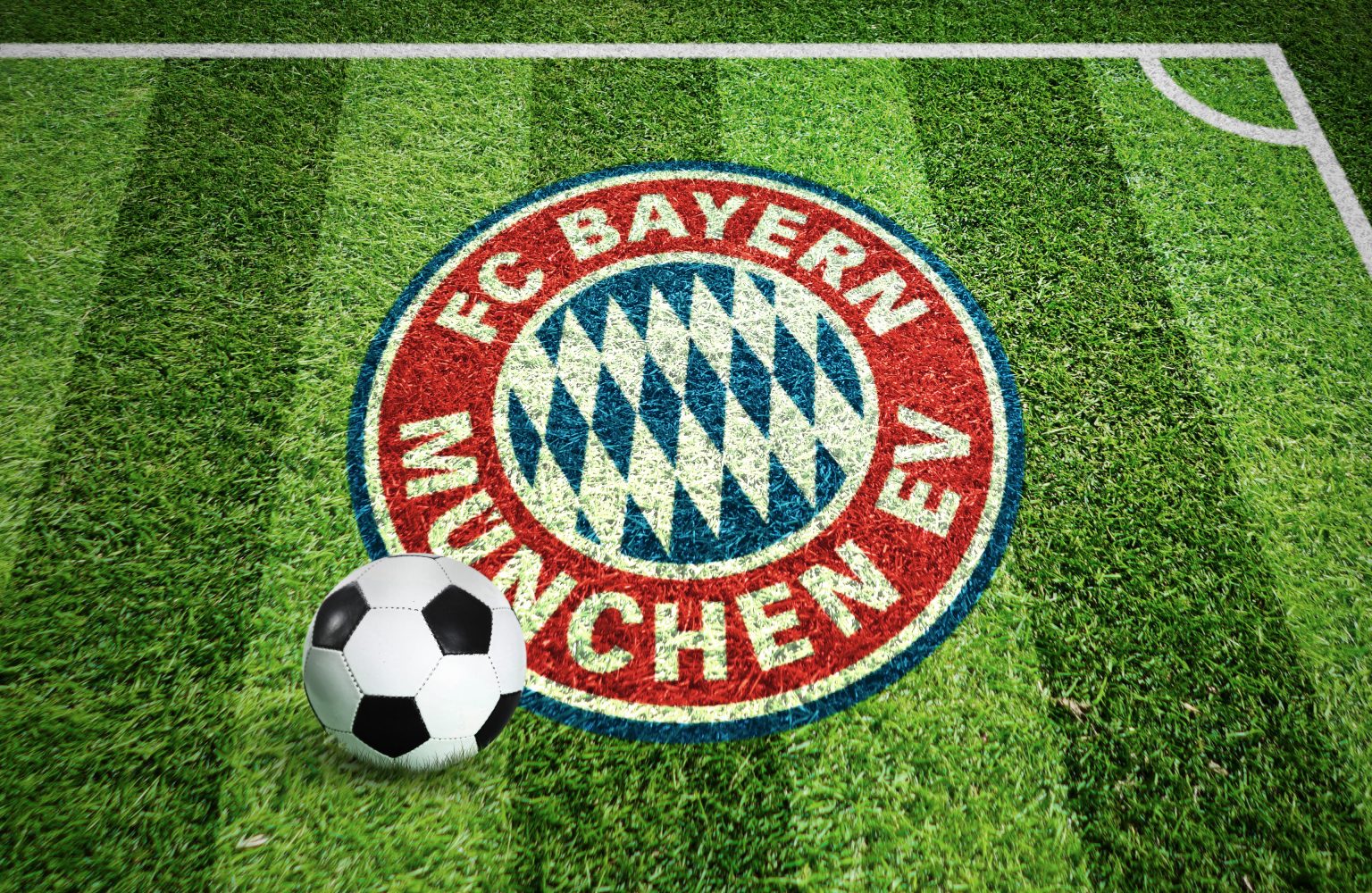 Free Football Field Grass Logo Mockup