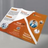 Professional Tri Fold Brochure Template