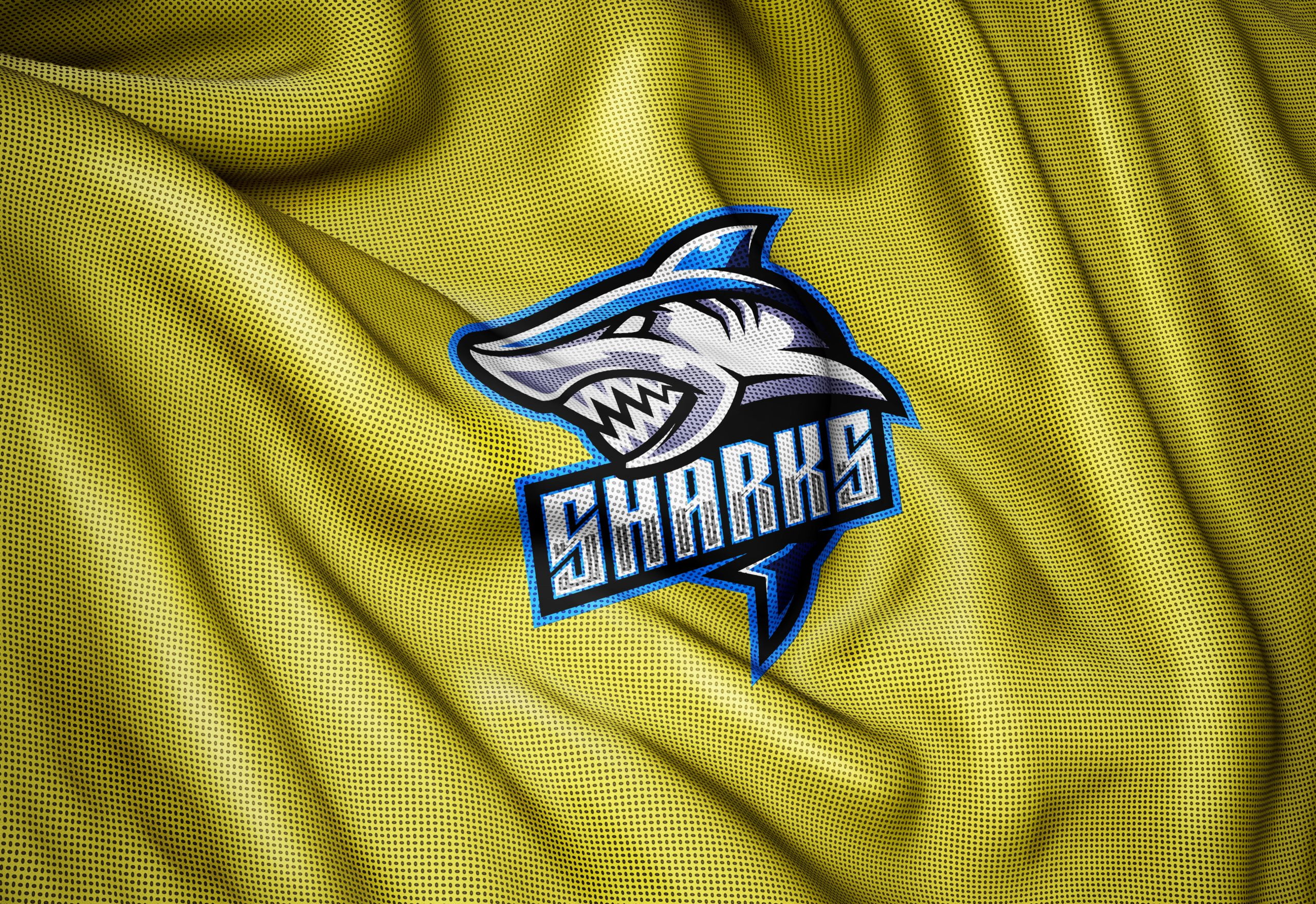 Download Sports Jersey Fabric Texture Photoshop Logo Mockup ...