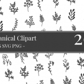 Free Botanical Vectors Clipart Bundle