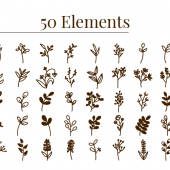 Hand drawn floral decorative elements free vector