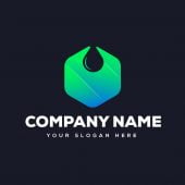 Water Drop Company Logo Design Template