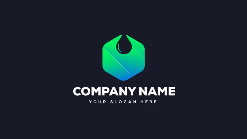 Water Drop Company Logo Design Template