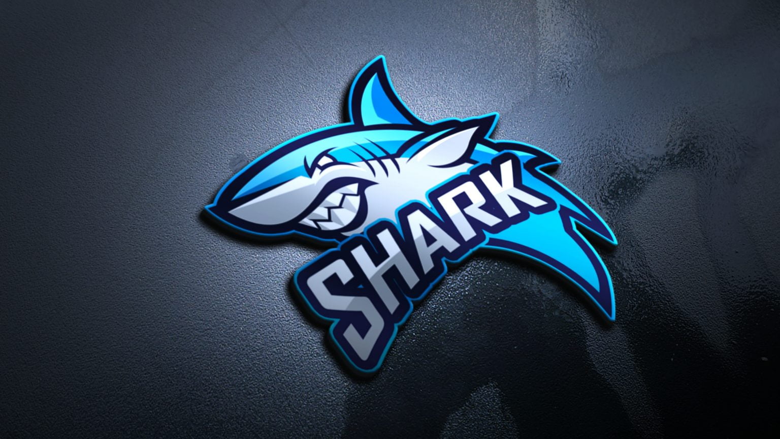 Shark Logo Design – GraphicsFamily