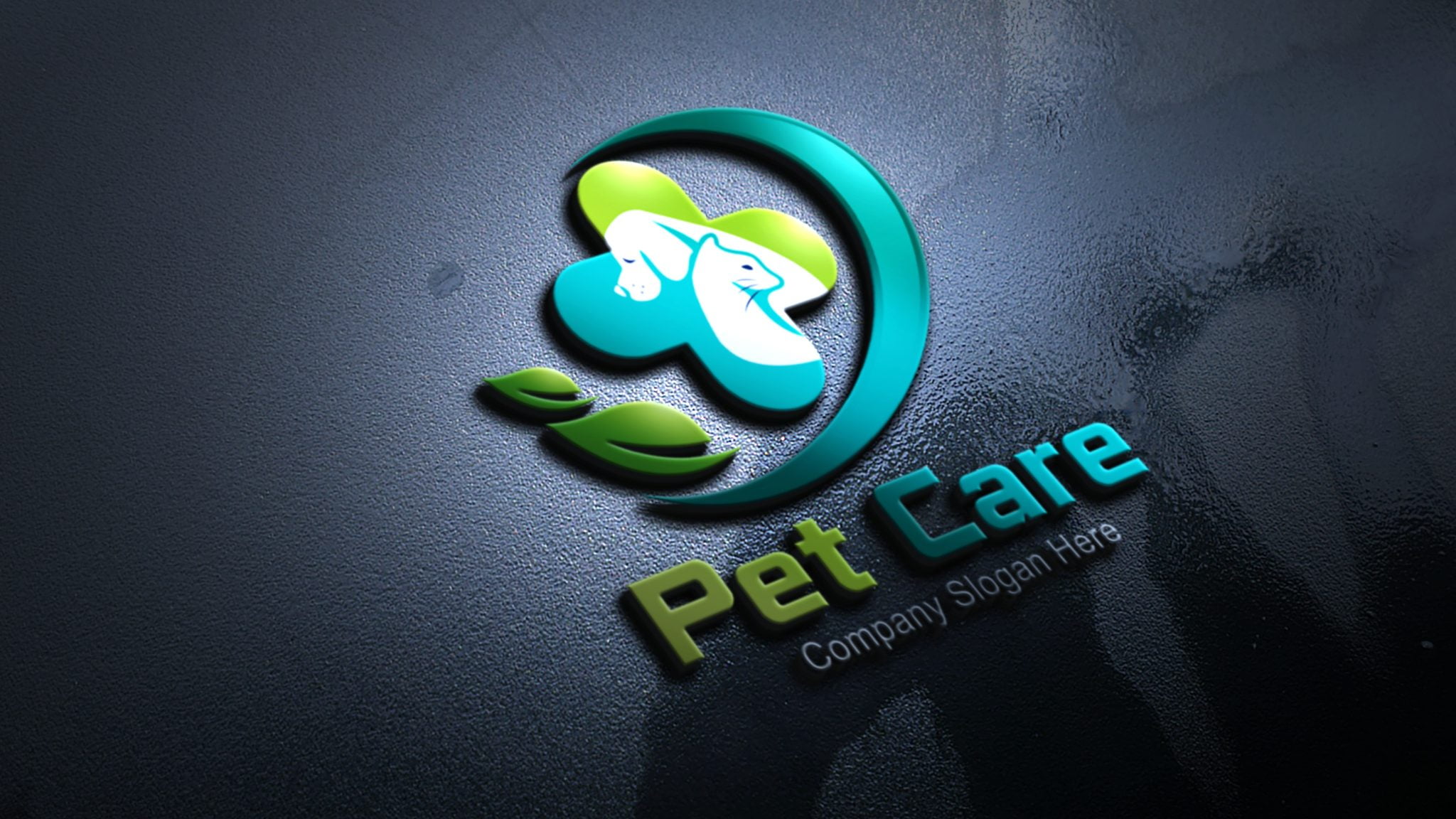 Pet Care Logo Template – GraphicsFamily