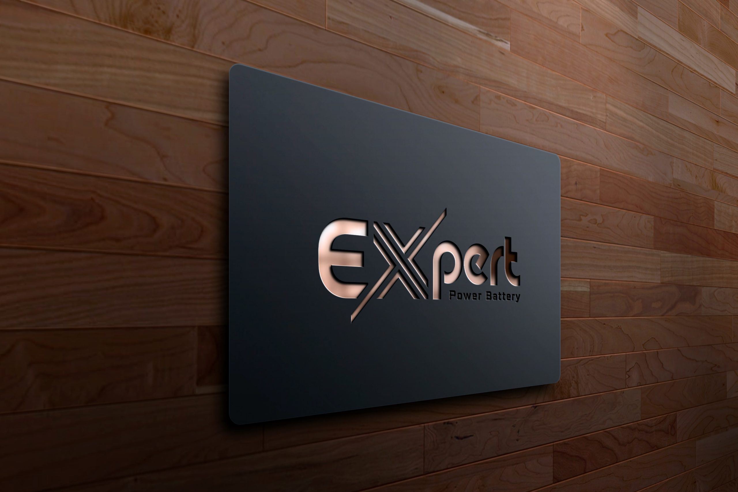 Expert Logo Design PSD source