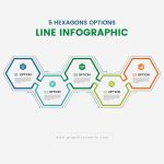 Line infographic template with 5 hexagons options vector image