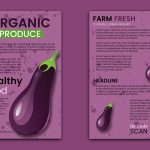 Stylish farm fresh flyer template or brochure vector image