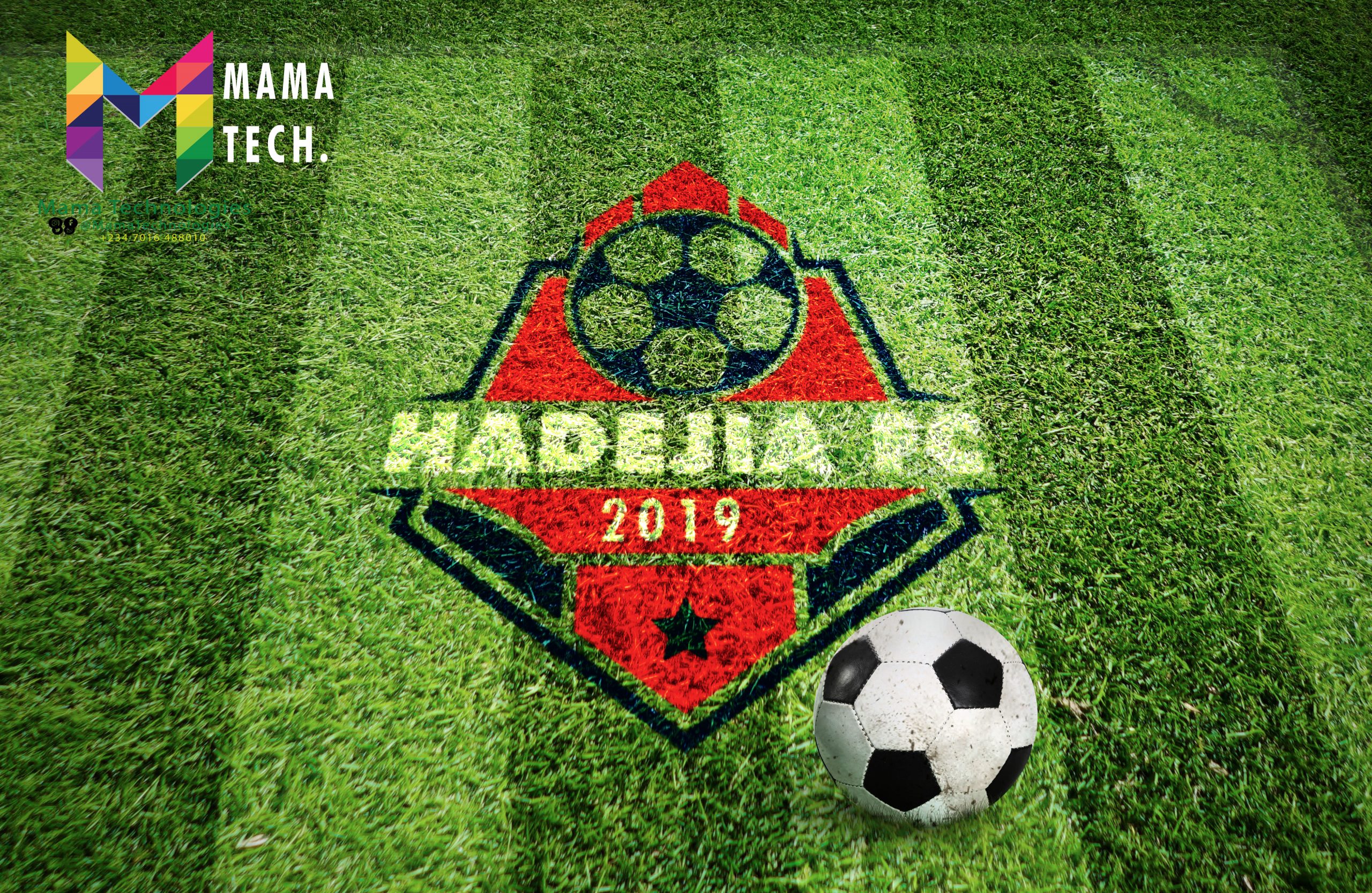 HADEJIA FC CLUB LOGO